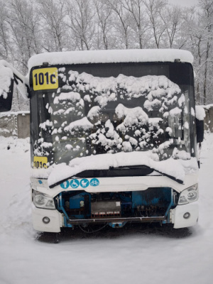 ЛиАЗ 4292 Автобус 429260 (Дизельный, 4,4 л, 154 л.с., 23 пас.)