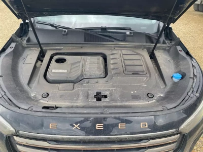 EXEED VX 2.0 DCT AWD President Limited Edition
